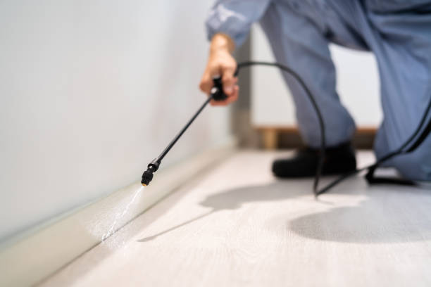 Licensed Pest Control service in Pittsburg, KS - Show Me Pest Control