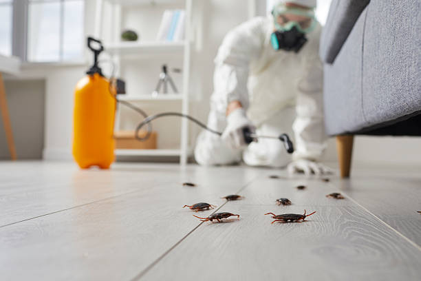 Commercial Kitchen Cockroach Control in Pittsburg